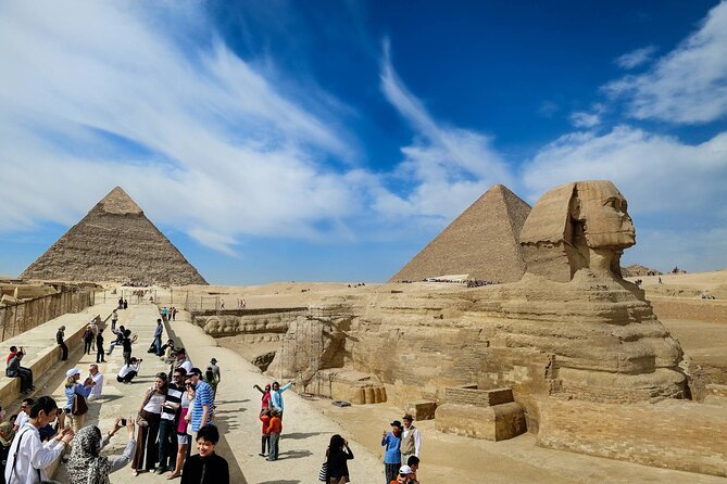Cairo by Bus – Egyptian Museum Tour