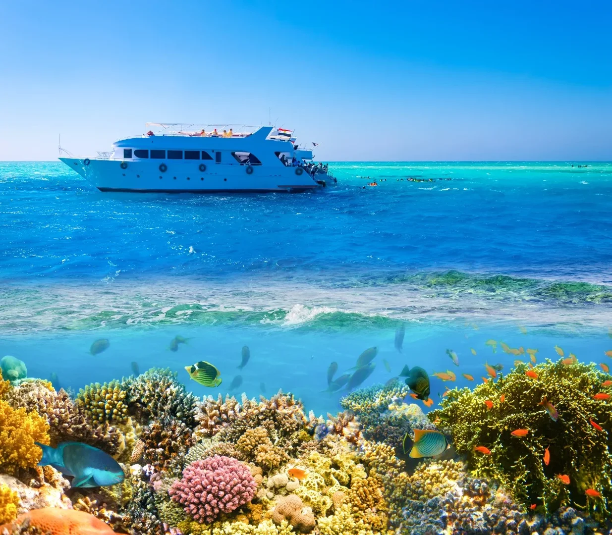 Ras Mohammed National Park & White Island Cruise