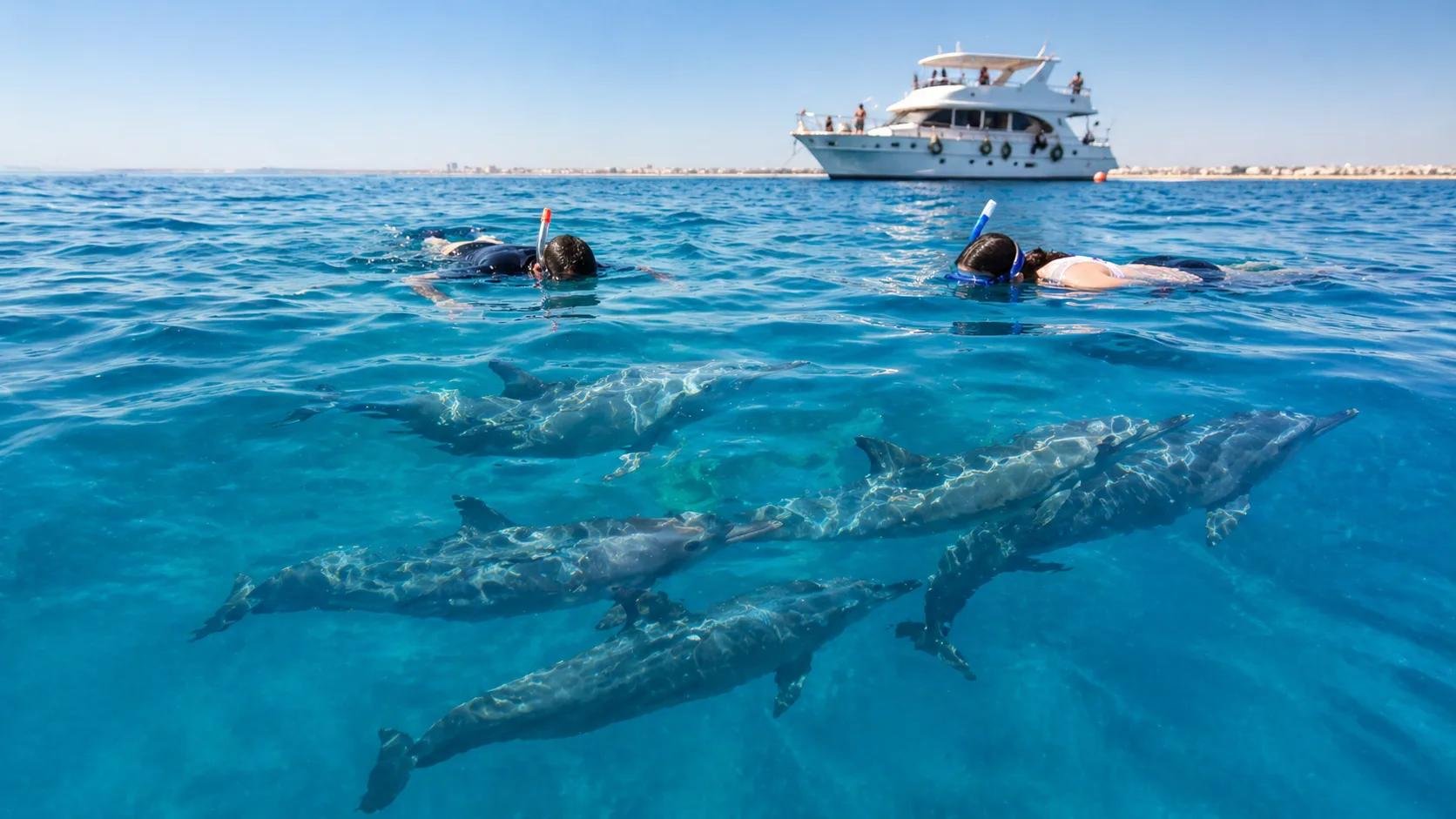 Dolphin House Snorkeling Trip from Hurghada