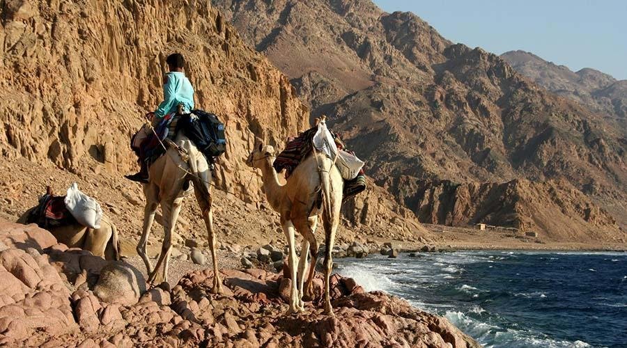 Blue Lagoon & Abu Galum National Park