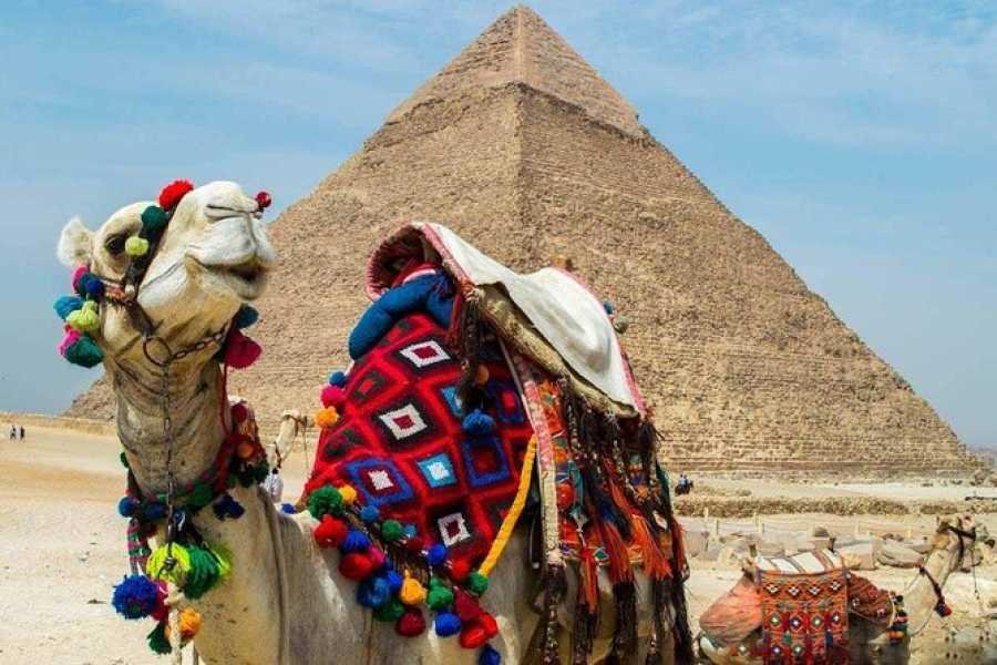 Cairo by Bus – Egyptian Museum Tour