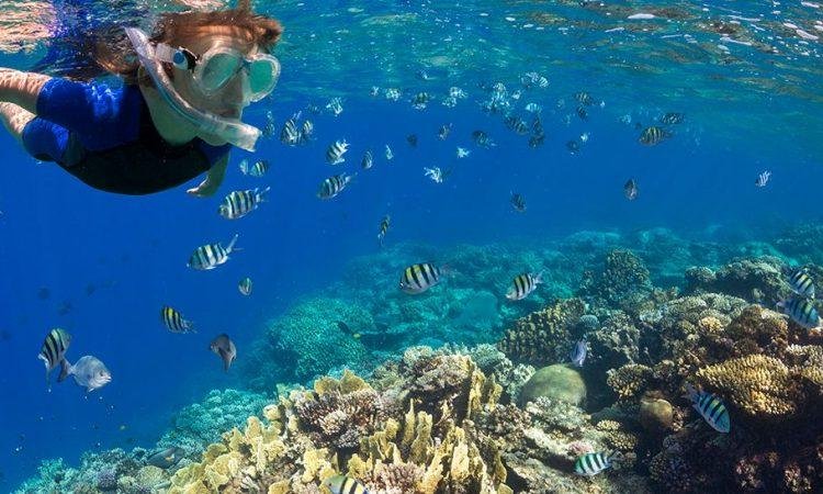 Mahmya Island Trip from Hurghada
