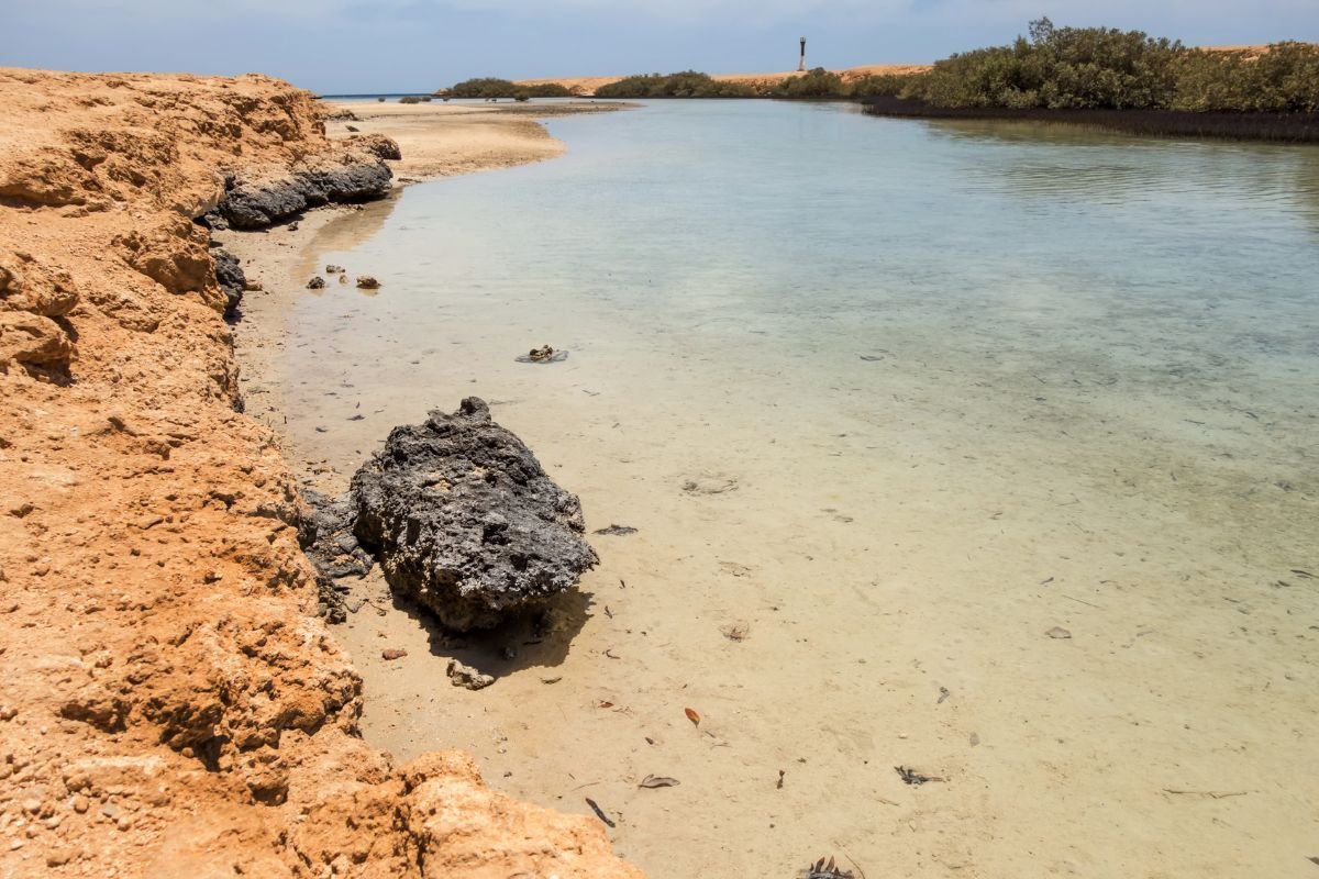 Ras Mohammed National Park by Bus