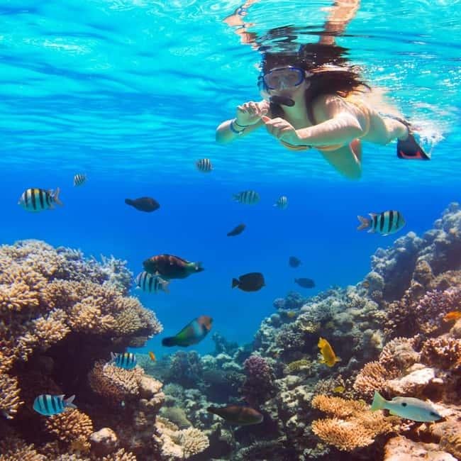 Orange Bay Island & Snorkeling Trip from Hurghada