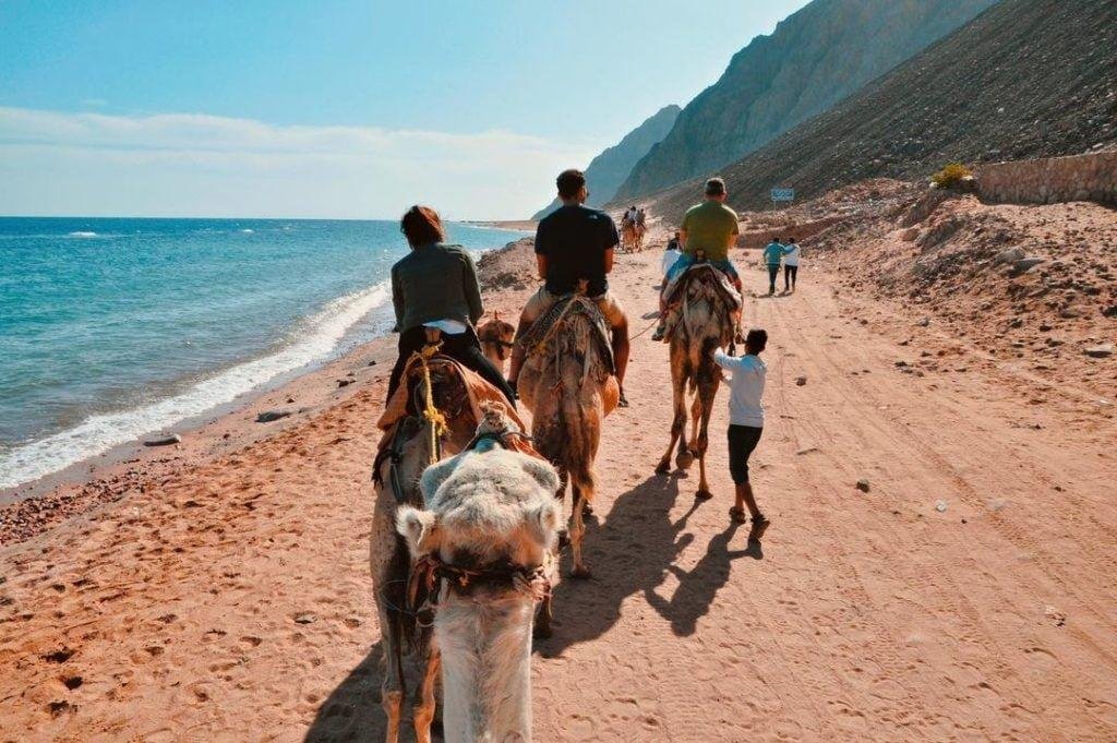 Blue Lagoon & Abu Galum National Park
